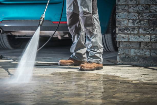 Best Oil Spill Cleanup  in University City, MO
