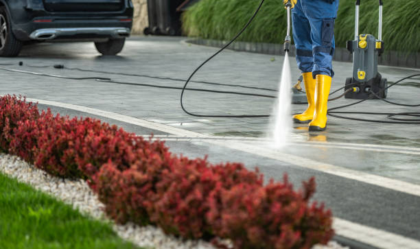 Best Sidewalk and Walkway Cleaning  in University City, MO